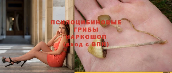 ALPHA-PVP Елабуга