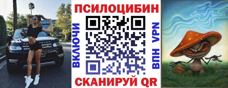 Псилоцибиновые грибы мухоморы  даркнет сайт  Солнечногорск 